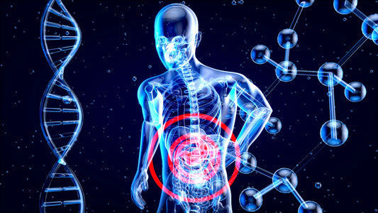 La salud intestinal clave para combatir la inflamación
